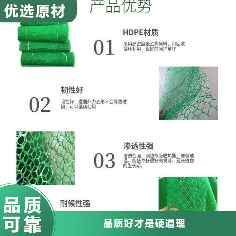 三維植被網鋼纖維通過檢測本地生產商