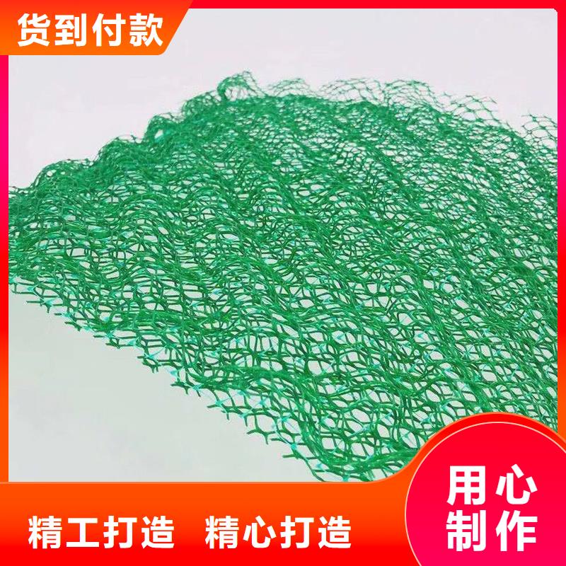 三維植被網(wǎng)紫銅止水片廠家多家倉庫發(fā)貨廠家直營