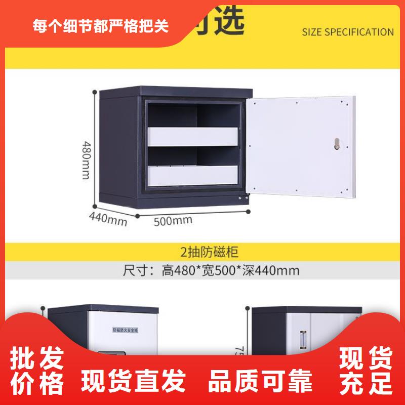 防磁柜金庫門定制零售批發(fā)當(dāng)?shù)厣a(chǎn)商