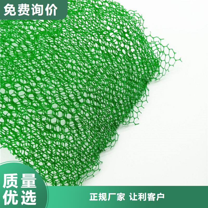 三維植被網-三維固土網墊誠信經營質量保證