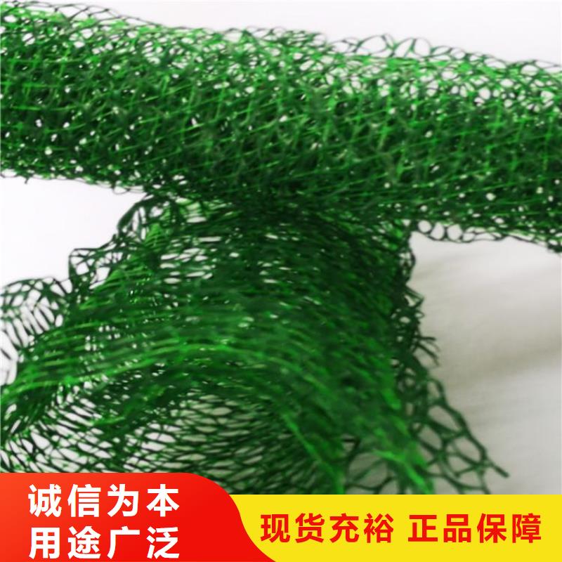 三維植被網機織布現貨齊全售后無憂當地品牌