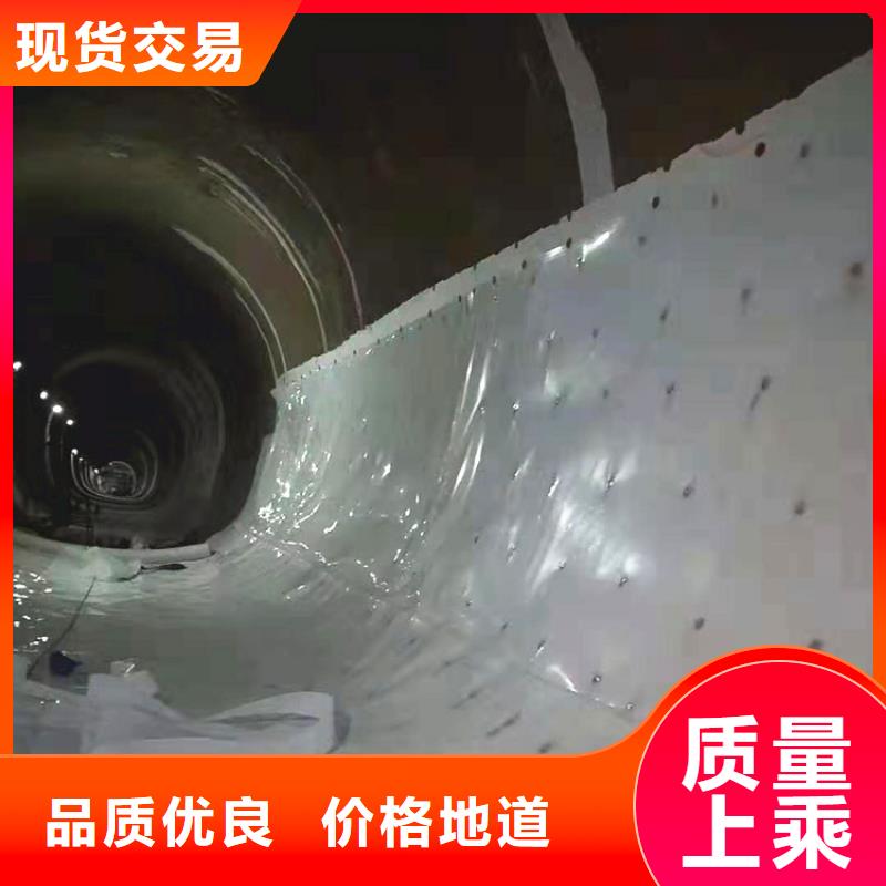 【防水板】雙向塑料土工格柵誠信經(jīng)營大量現(xiàn)貨
