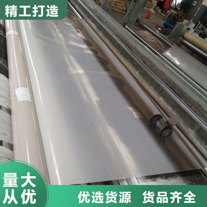 防水板【土工膜】工廠直供廠家擁有先進的設備