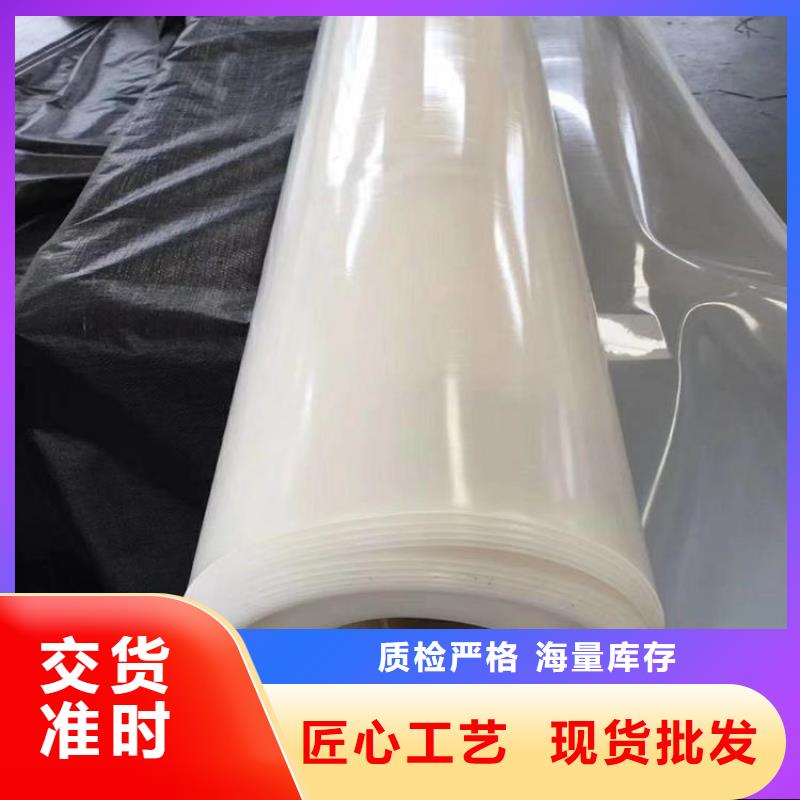 防水板滌綸格柵物美價優(yōu)一手貨源源頭廠家