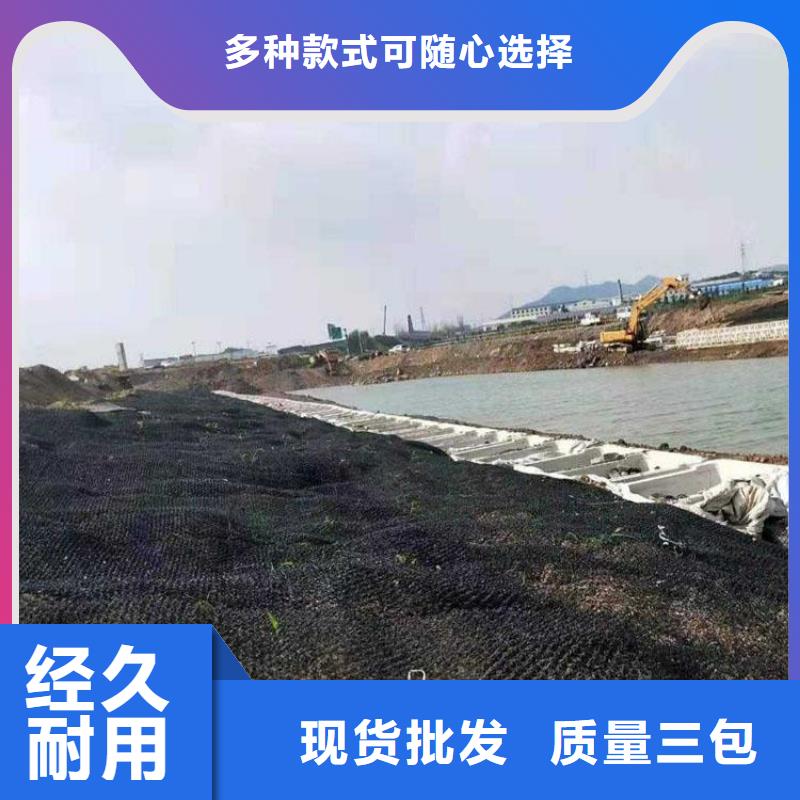 水土保護毯,雙向土工格柵歡迎來電咨詢放心購