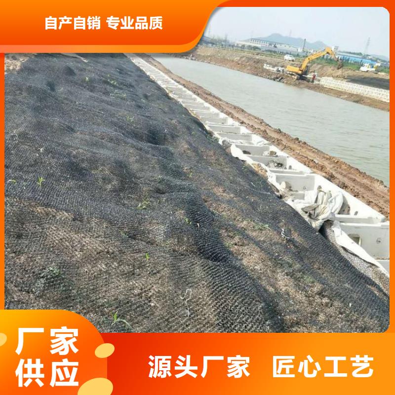 【水土保護毯排水板技術先進】源頭廠家直銷