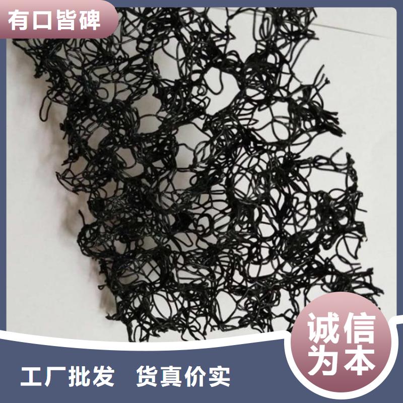【水土保護毯網格布廠家型號齊全】您想要的我們都有