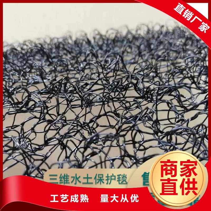 水土保護(hù)毯土工膜實(shí)力商家源廠直接供貨