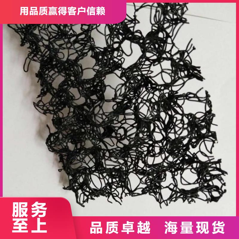水土保護毯玻璃纖維土工格柵熱銷產品本地公司