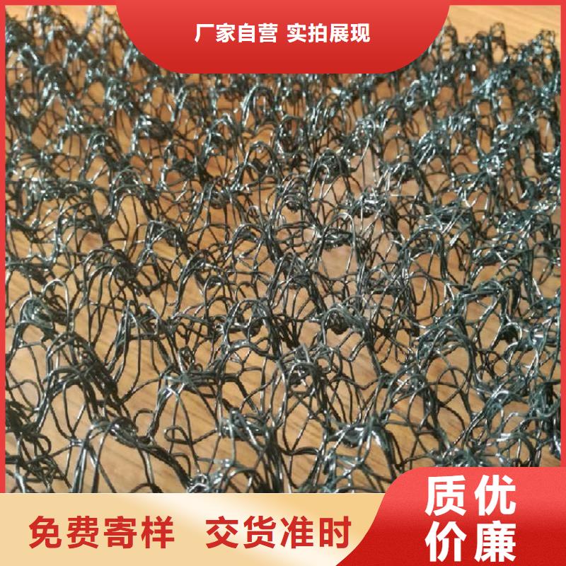 水土保護毯生態帶支持非標定制當地生產廠家