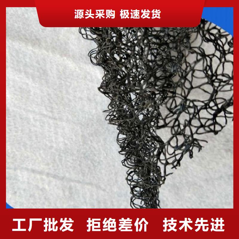 水土保護毯【滌綸格柵】隨到隨提用心做好細節