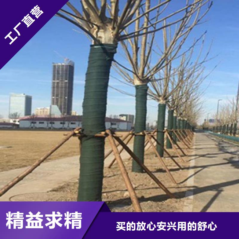 裹樹布_網格布源頭廠家供應本地廠家值得信賴