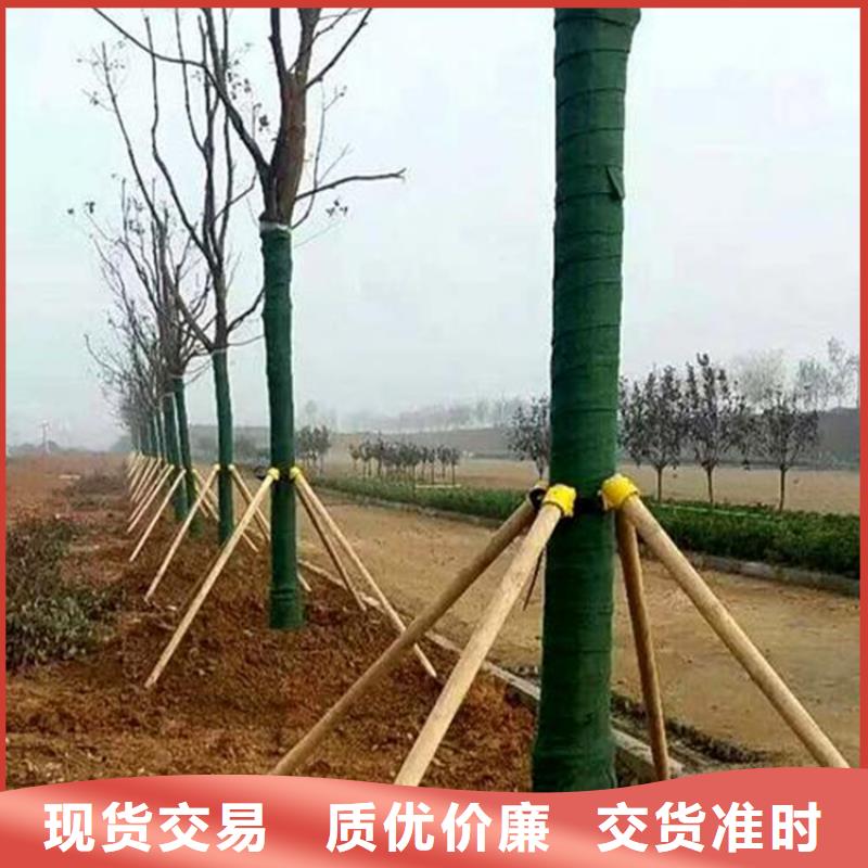 裹樹布防滲膜現貨銷售優選廠家