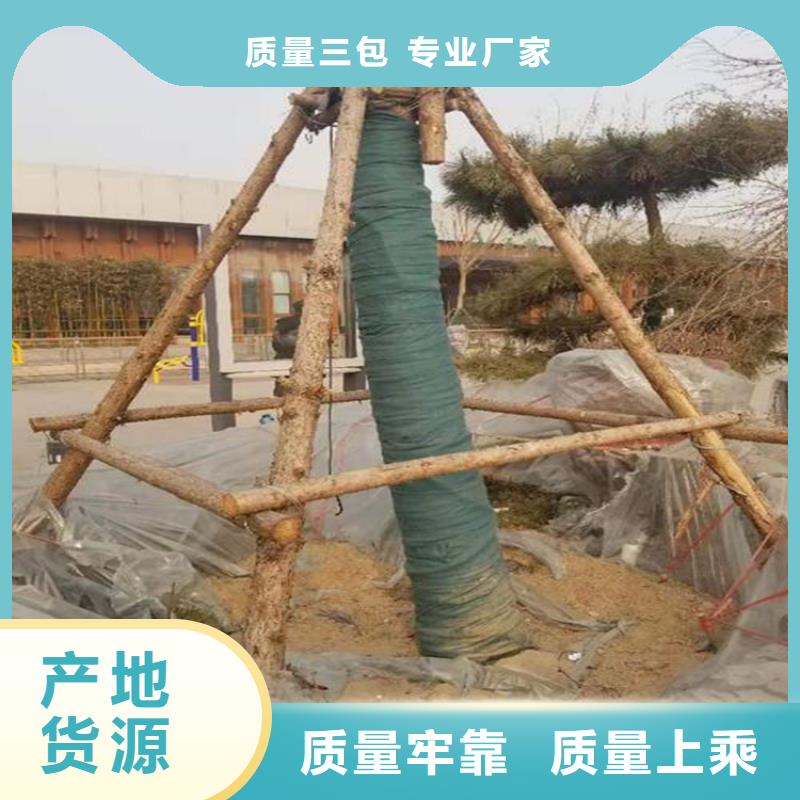 【裹樹布】編織布物流配貨上門詳細參數