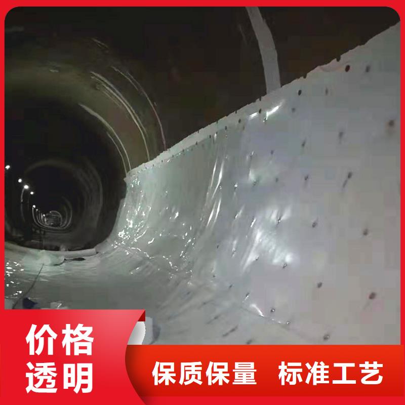 防水板塑料土工格栅标准工艺当地制造商