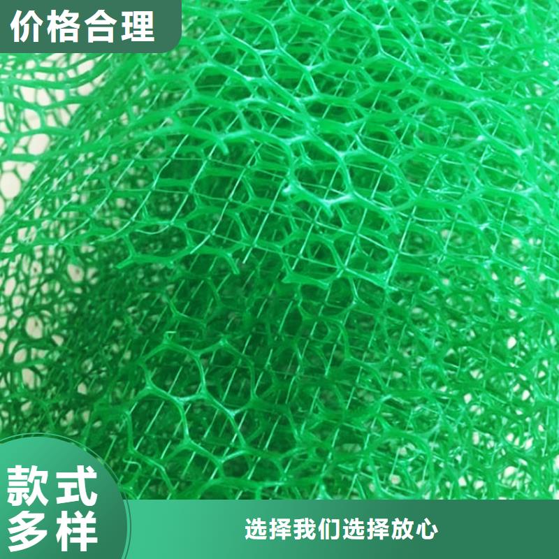 【三维植被网_植草格核心技术】源头工厂量大优惠