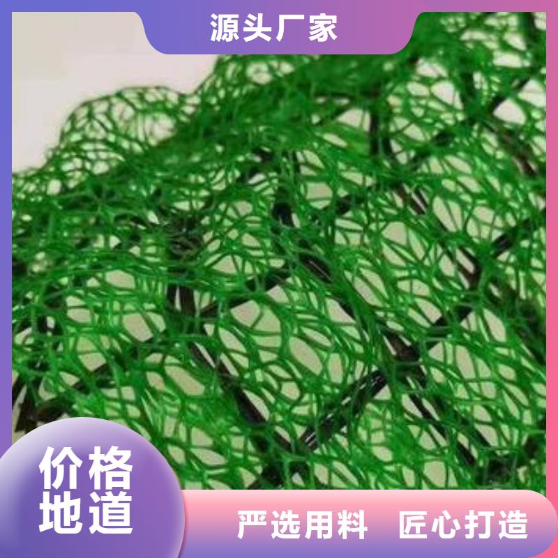 三维植被网三维植被网厂家支持定制加工