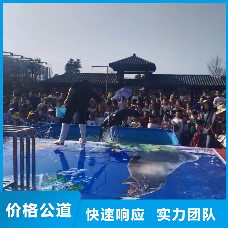 海狮表演租赁暖场氛围技术精湛