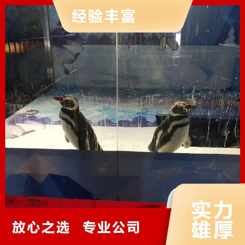 海洋生物展租赁经验丰富