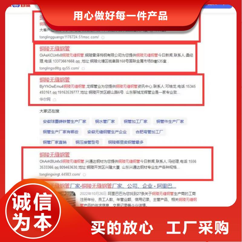 软件网站制作开发可看效果报表当地货源