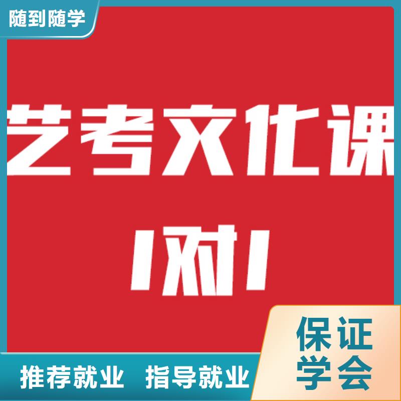 艺考文化课补习学校哪个好小班面授附近制造商