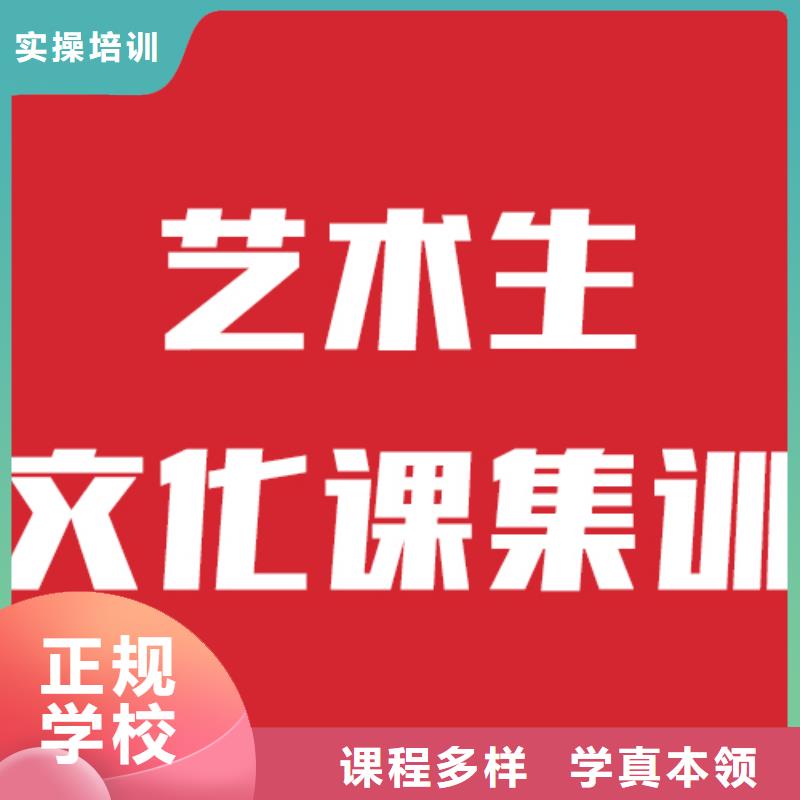 艺考文化课集训班报名要求理论+实操