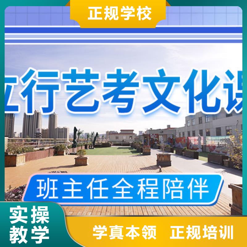 藝考文化課培訓-高中寒暑假補習手把手教學學真技術