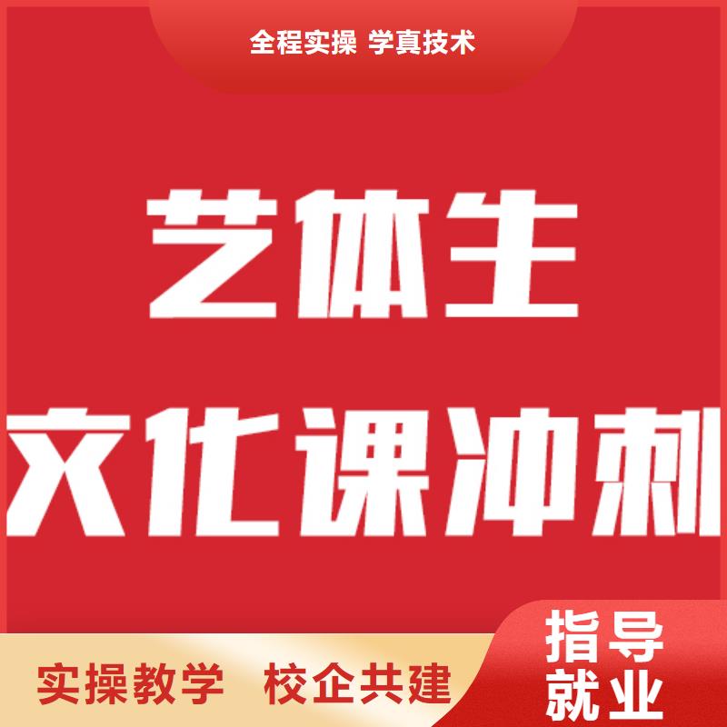 藝考生文化課藝術學校學真本領理論+實操