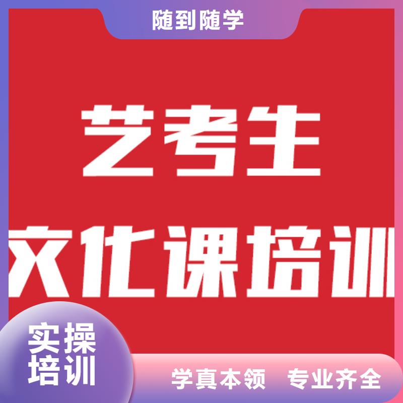 艺考生文化课补习机构2024分数要求正规培训