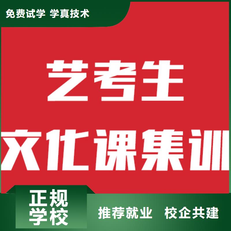 艺考生文化课哪个学校好这家不错当地生产商