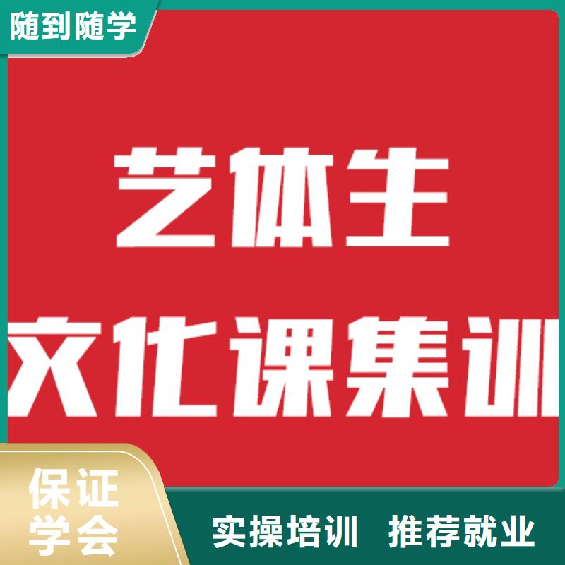 艺考文化课冲刺环境好的报名条件当地厂家