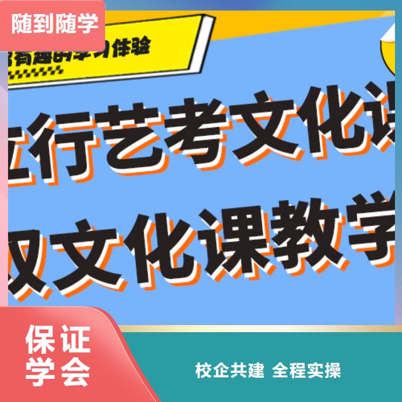 艺术生文化课培训补习价格私人订制方案理论+实操