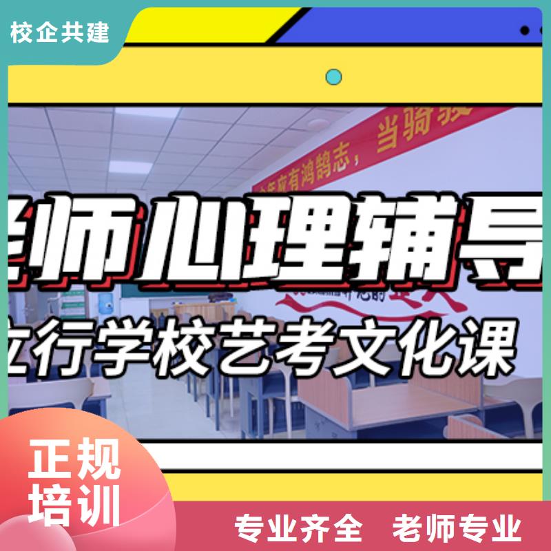 艺术生文化课培训补习哪个好定制专属课程学真本领