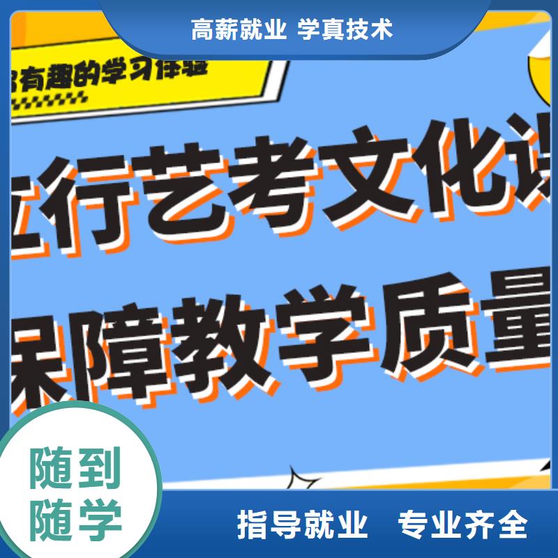 艺术生文化课培训补习怎么样针对性教学当地公司