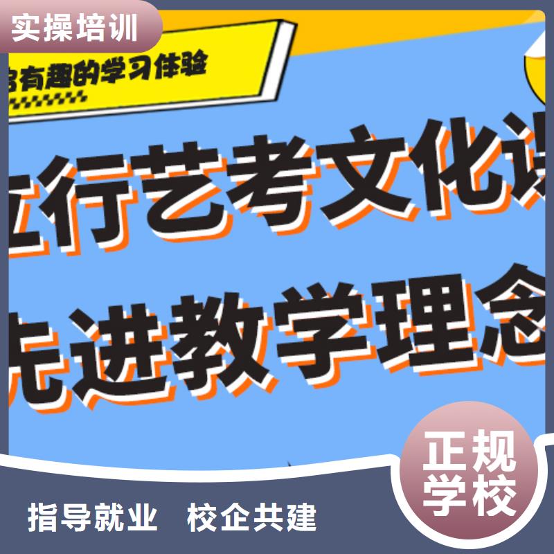 艺术生文化课培训补习哪家好艺考生文化课专用教材正规培训