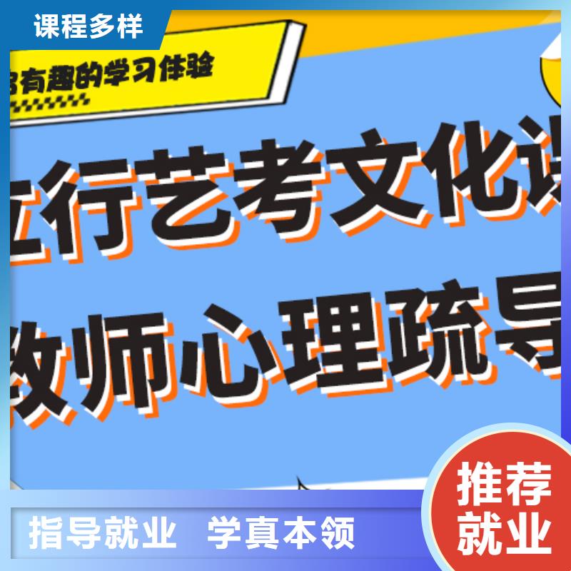 艺术生文化课培训机构排行针对性教学当地生产商