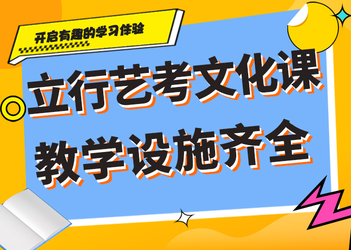 哪里好艺术生文化课培训补习艺考生文化课专用教材