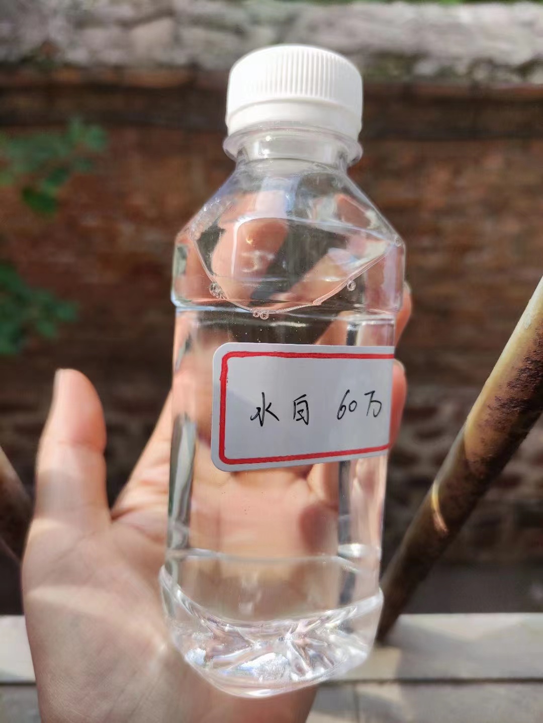 液體復合碳源生產(chǎn)廠家當?shù)貜S家