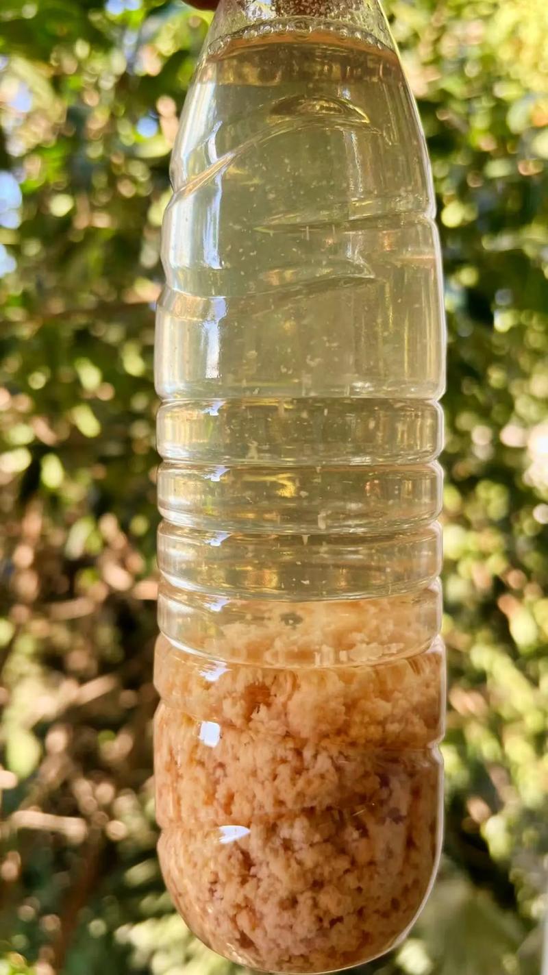 聚丙烯酰胺葡萄糖生物碳源可定制有保障