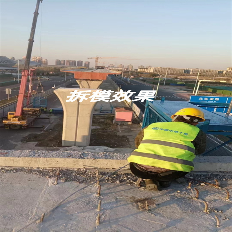 桥梁墩柱模具混凝土预制桥梁立柱模具满足客户所需