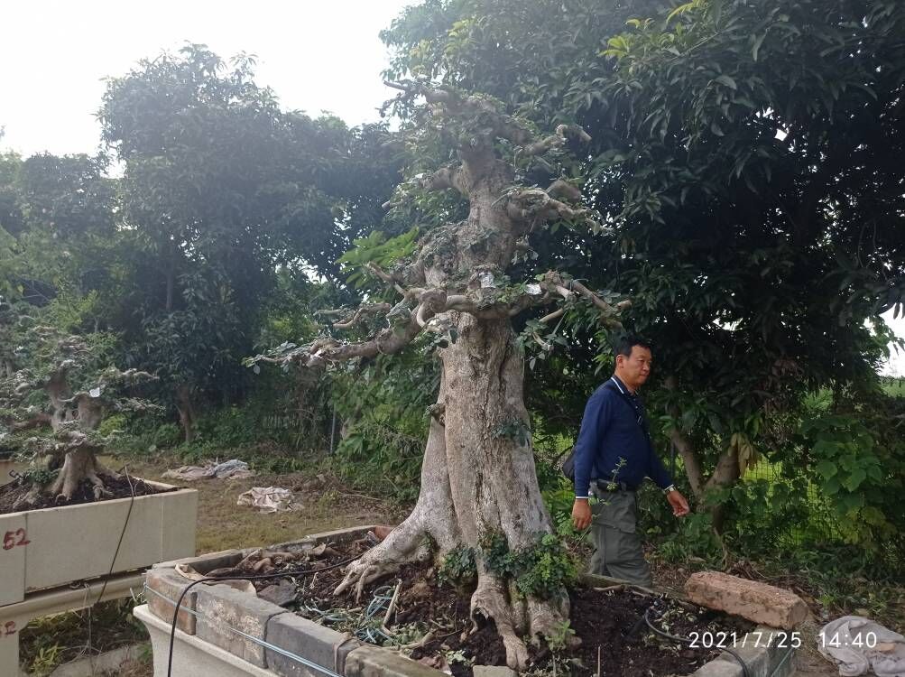 软基道路固化淤泥就地固化剂精华