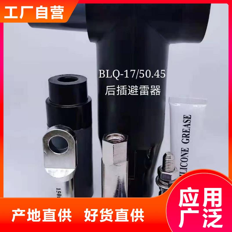 DXN8-35Q 高壓帶電顯示器運城
