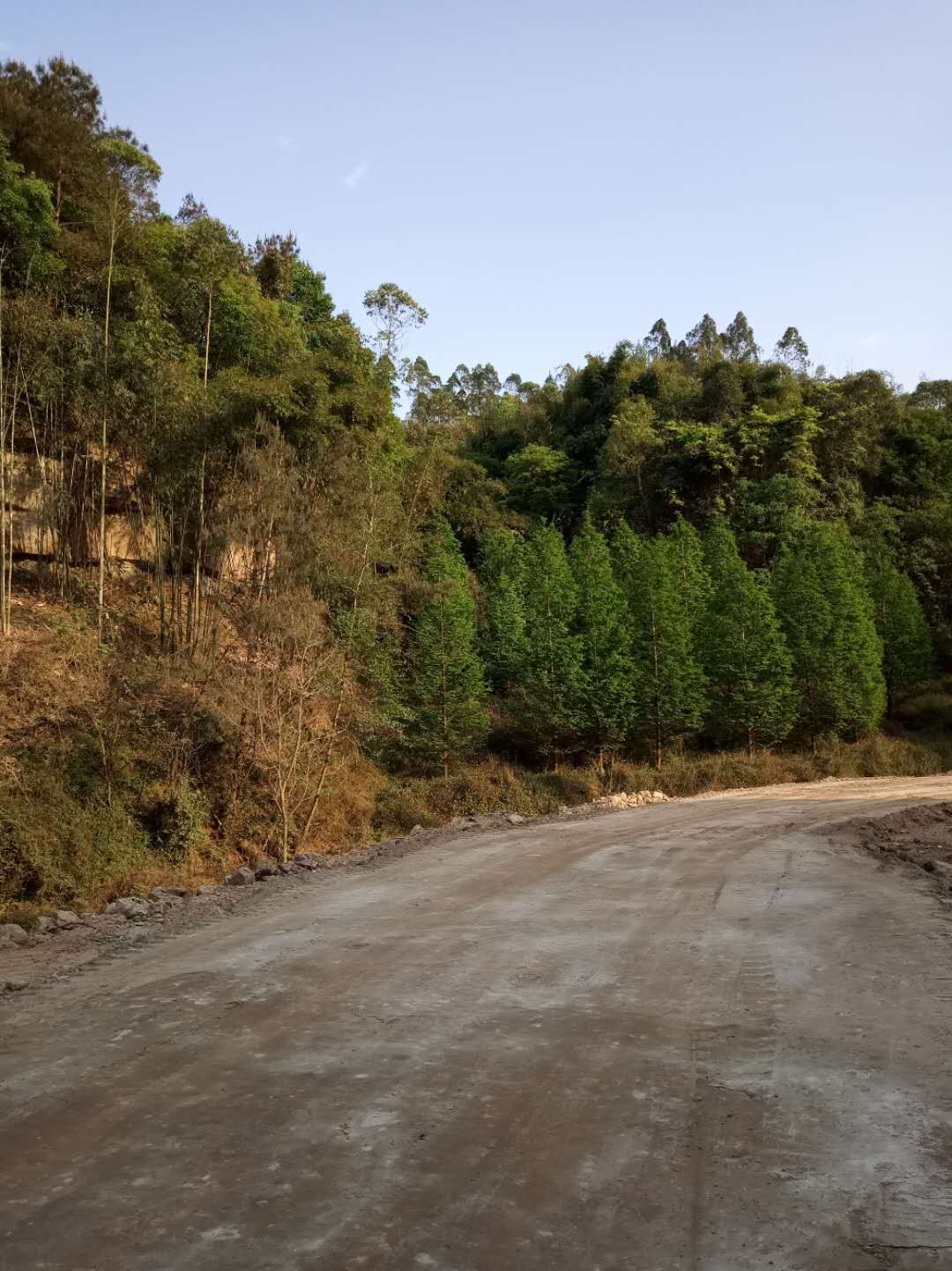 河堤水闸大修提升改造软土固化剂欢迎来电